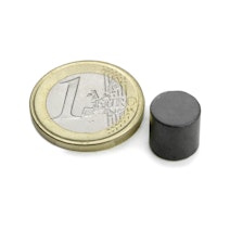 Schijfmagneet Ø 10 mm, hoogte 10 mm, houdt ca. 400 gr