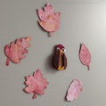 Make your own autumn decorations