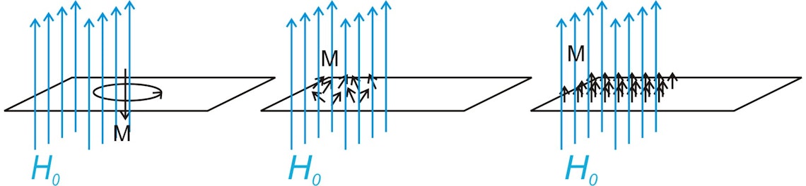 Die Magnetisierung M kommt bei Diamagneten durch die Induktion eines Kreisstroms zu Stande, der sein... Die Magnetisierung M kommt bei Diamagneten durch die Induktion eines Kreisstroms zu Stande, der seiner Ursache (dem äußeren Feld) entgegengerichtet ist. M ist also H0 entgegengerichtet (links). Bei einem paramagnetischen Stoff existieren kleine Elementarmagnete im Material, die sich parallel zum äußeren Feld ausrichten und die Magnetisierung verursachen (mitte). In einem Ferromagneten wird diese Ausrichtung zusätzlich durch die Austauschwechselwirkung stabilisiert und die Magnetisierung ist insgesamt sehr viel größer (rechts).
Auch bei Para- und Ferromagneten kommt es zur Induktion von Kreisströmen. Diese diamagnetische Magnetisierung wird jedoch vom stärkeren Para- und Ferromagtnetismus überlagert.